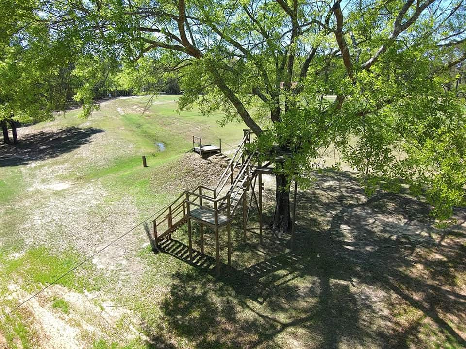 Ziplining At Butter And Egg Adventures