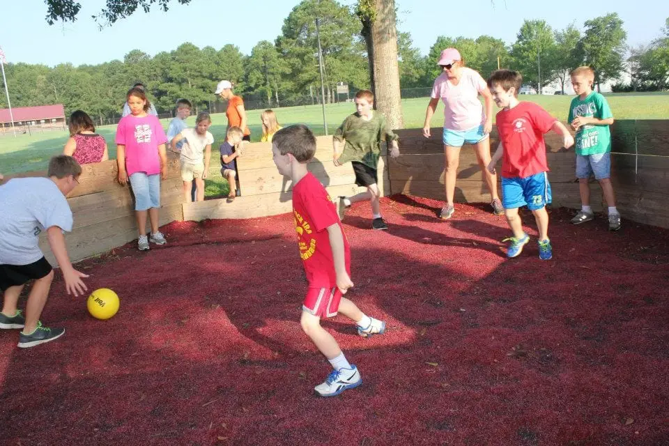 Additional Recreation Venues