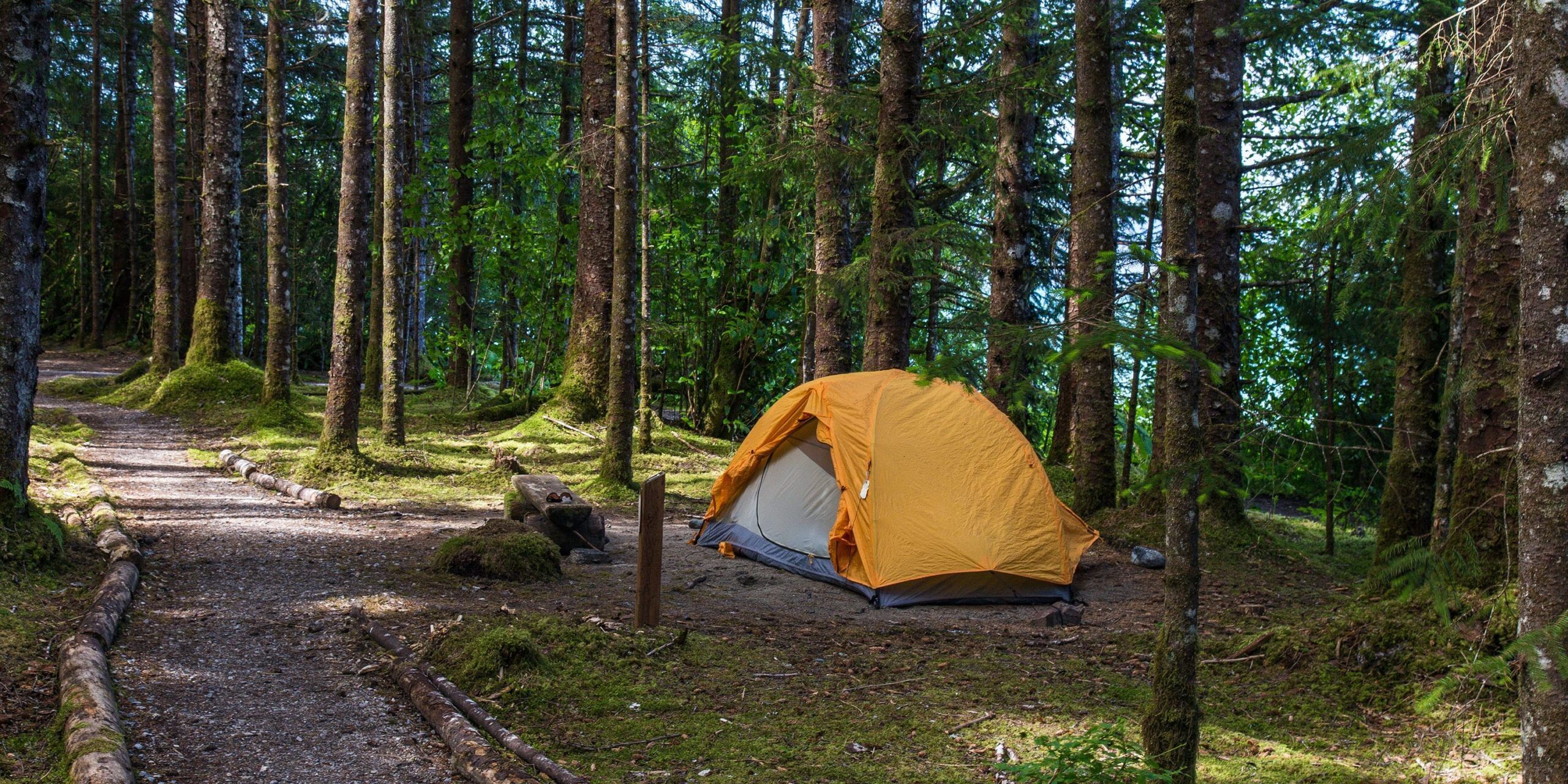 Escape Room In Troy, Alabama 1 Campsite